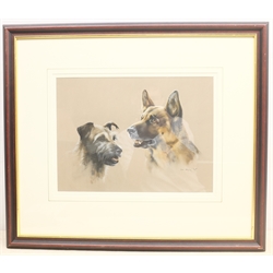 John Naylor (British 1960-): Portrait of Two Dogs, pastel signed and dated '95, 28cm x 38cm