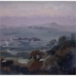 GR (Northern British Contemporary): 'Light on the Wharfe from Kearby Cliff' and 'Almscliff Crag from Kearby Cliff', near pair oils signed max 20cm x 19cm (2)