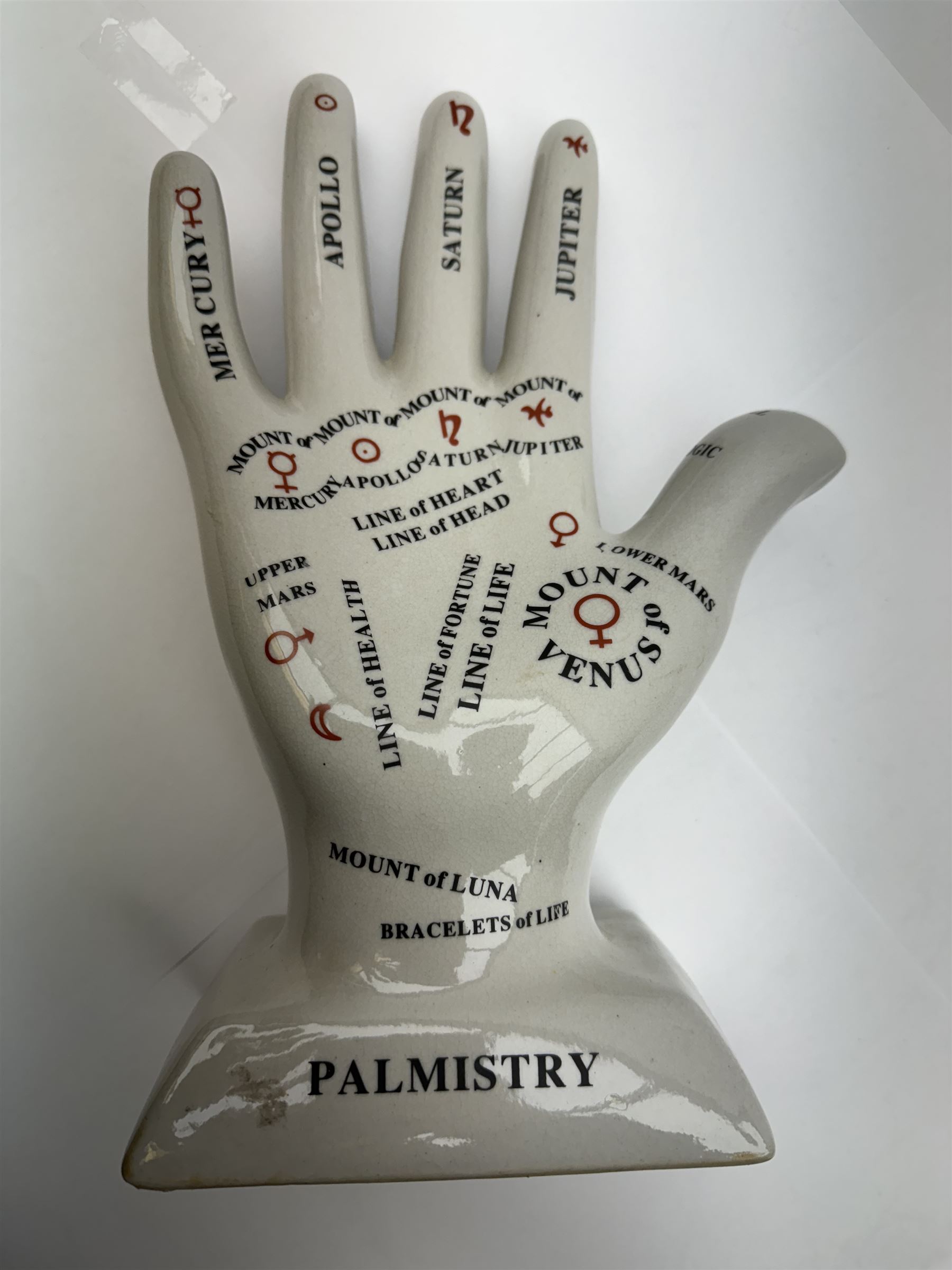 Phrenology head H29cm  and a Palmistry hand H28cm