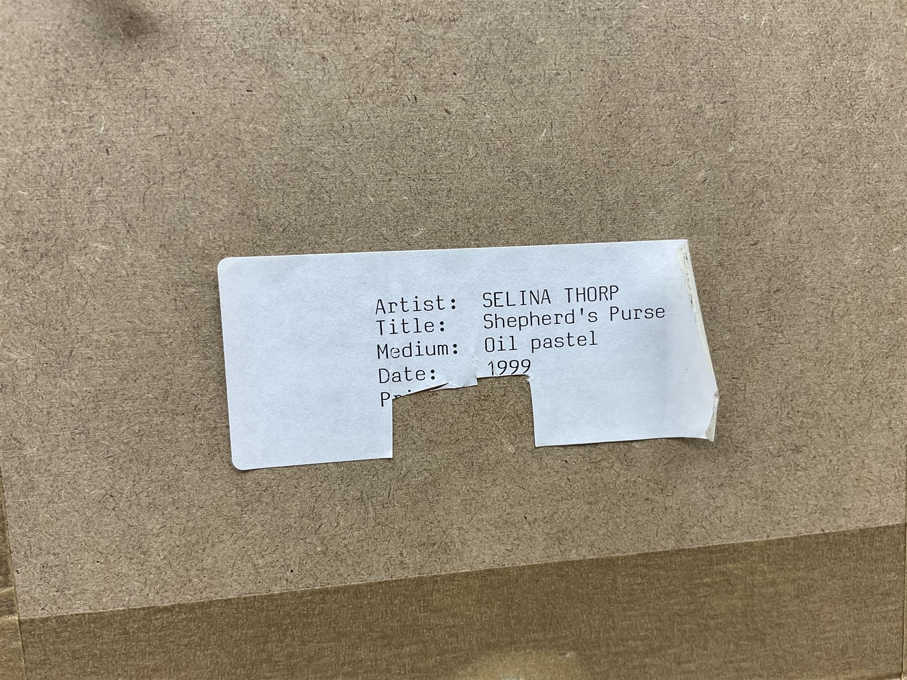 Selina Thorp (British 1968-): 'Shepherd's Purse', pastel signed, titled and dated 1999 on label verso 9cm x 9cm