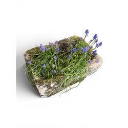 19th century weathered hewn stone planter of rectangular form, planted