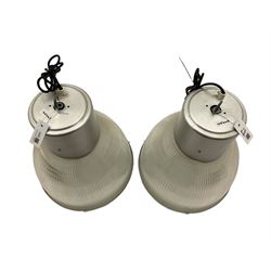 Pair of 'Haolophane' pendant lights