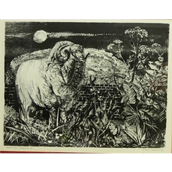  'Spanish Merino II', lithograph signed, titled and dated '56 by Colin Gard Allen (British 1926-1987) 34cm x 44cm  