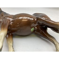 Seven Beswick figures of horses, including Connemara pony in grey no.1641, Arab in bay no.1265, large foal in grey no.947 etc, together with a Goebel figure of a horse (8)