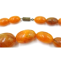  Two early 20th century amber type bead necklaces   