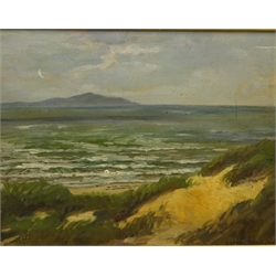  Luplau Janssen (Danish 1869-1927): Coastal scene with Sand Dunes, oil on canvas laid on panel signed 27cm x 34cm  