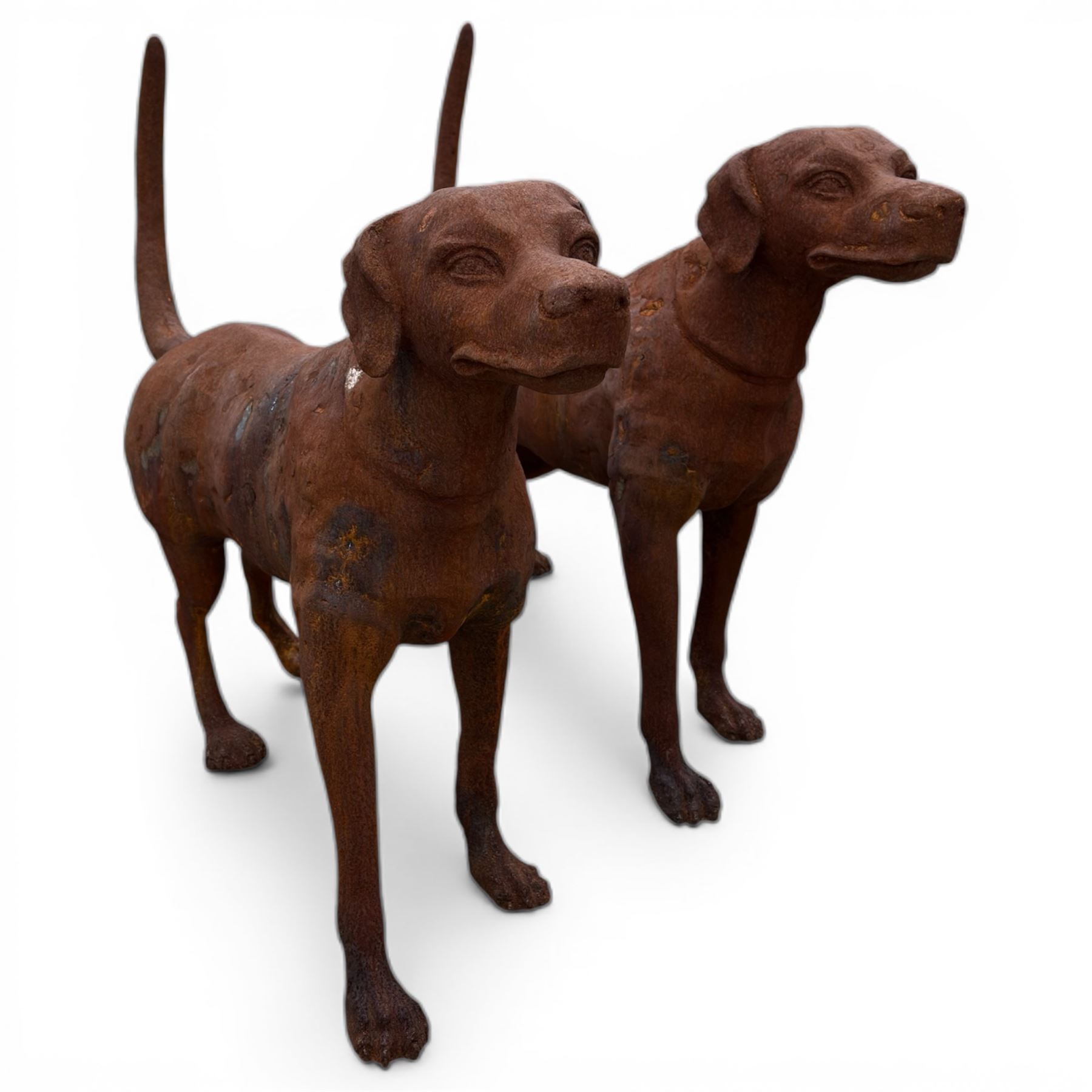 Pair of life-size heavy cast iron garden Hunting dogs