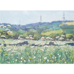Barry De More (Yorkshire 1948-2023): 'Landscape Summer Afternoon', acrylic on paper, signe...