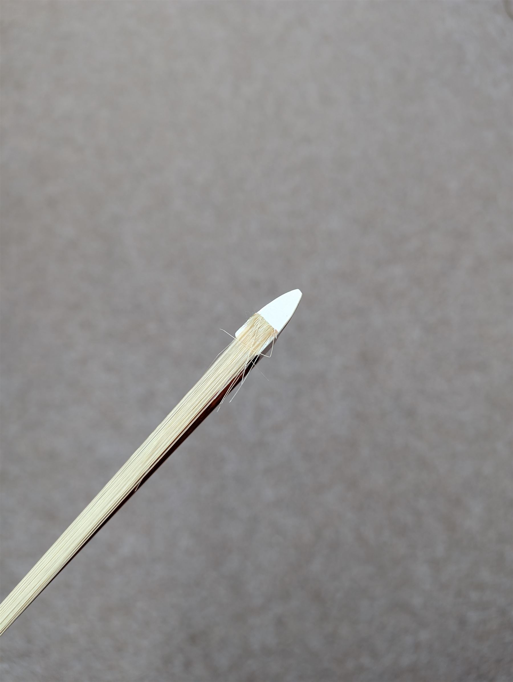 Violin and bow in fitted case