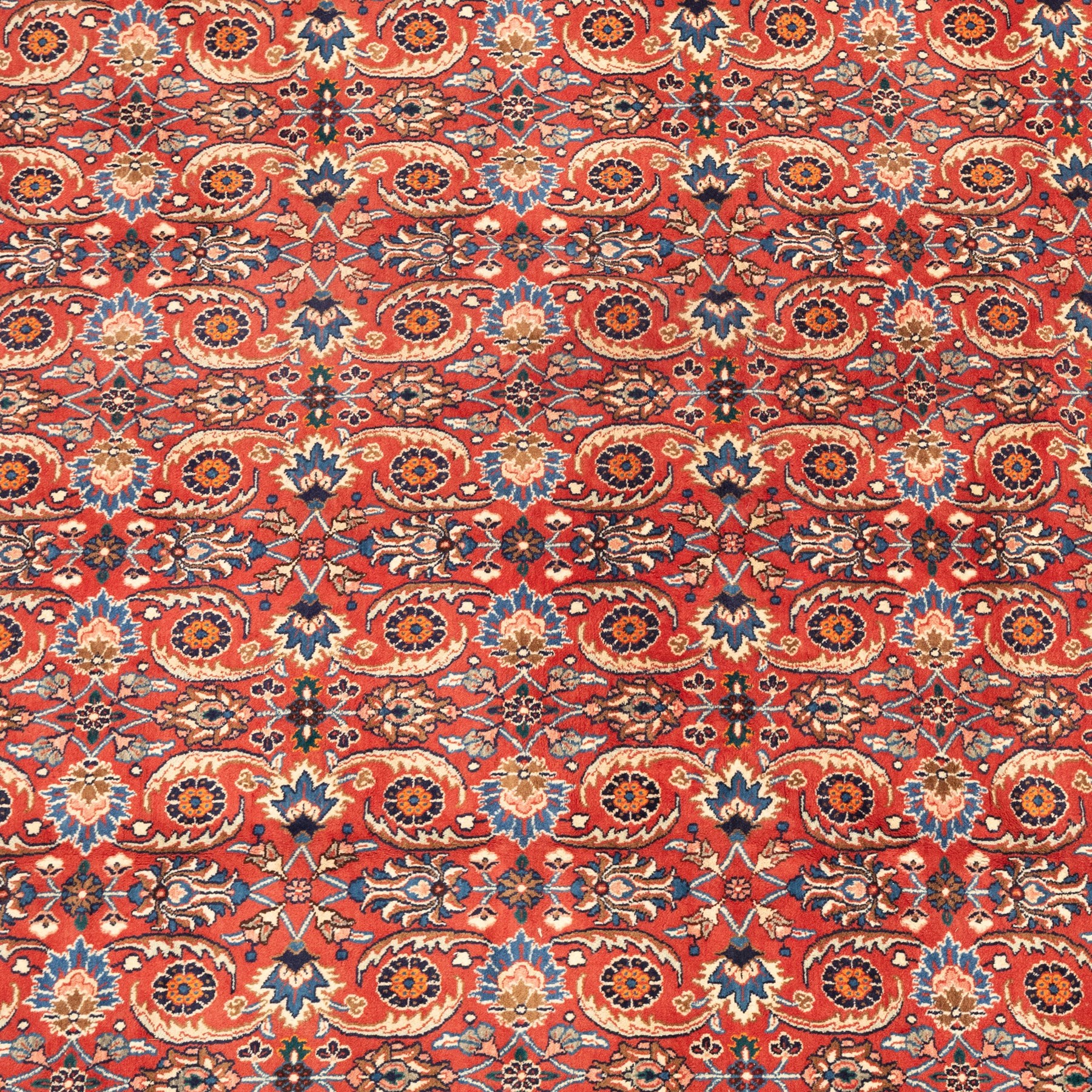 North West Persian carpet, the red field decorated with an all over repeating design of palmettes, rosettes and curling serrated leaves in indigo, ivory and ochre tones, enclosed by an indigo scrolling floral border and ivory flowerhead guard bands
