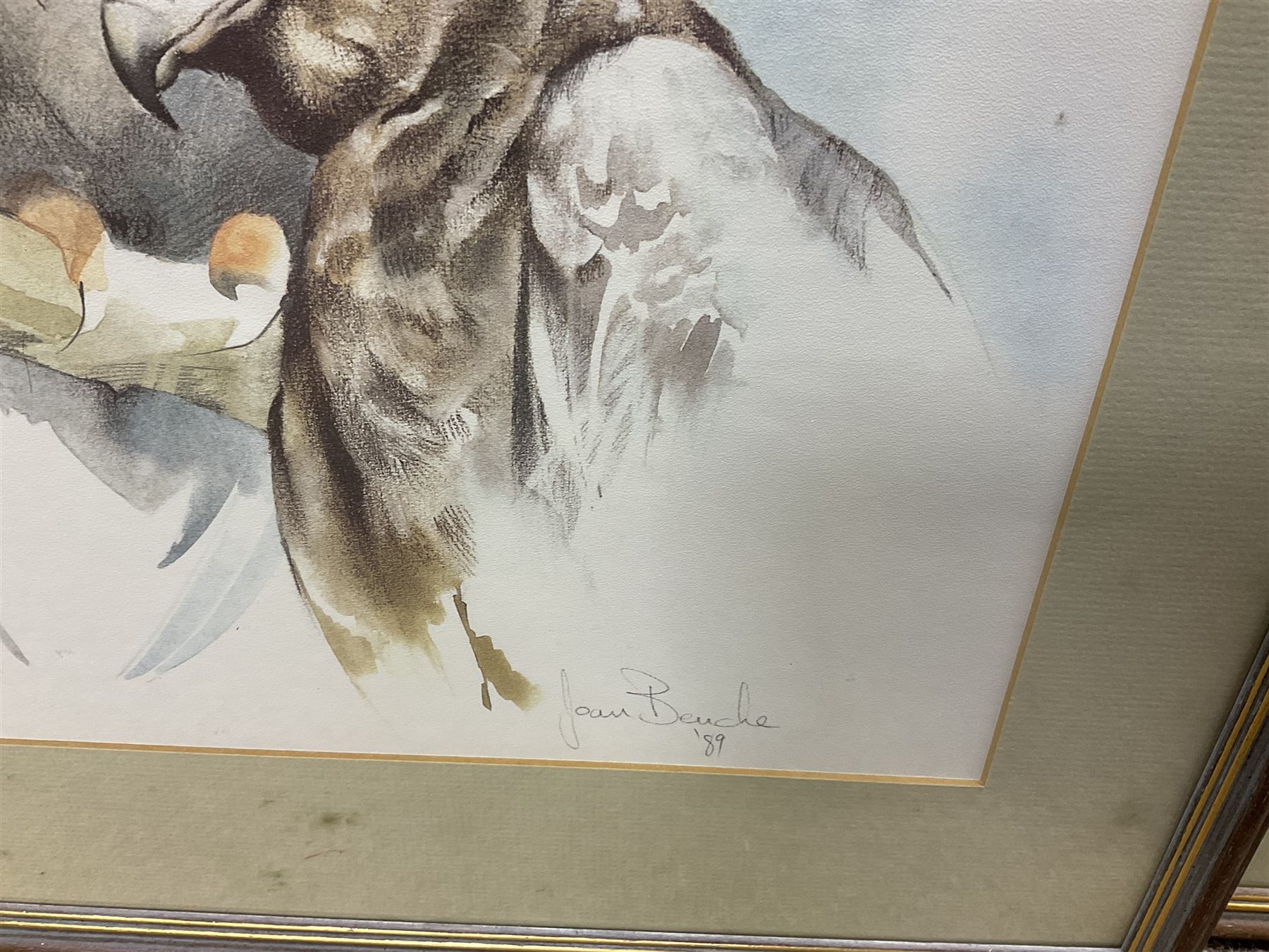 After Joan Beuche (South African 20th century) Eagles, set of six coloured prints (6)