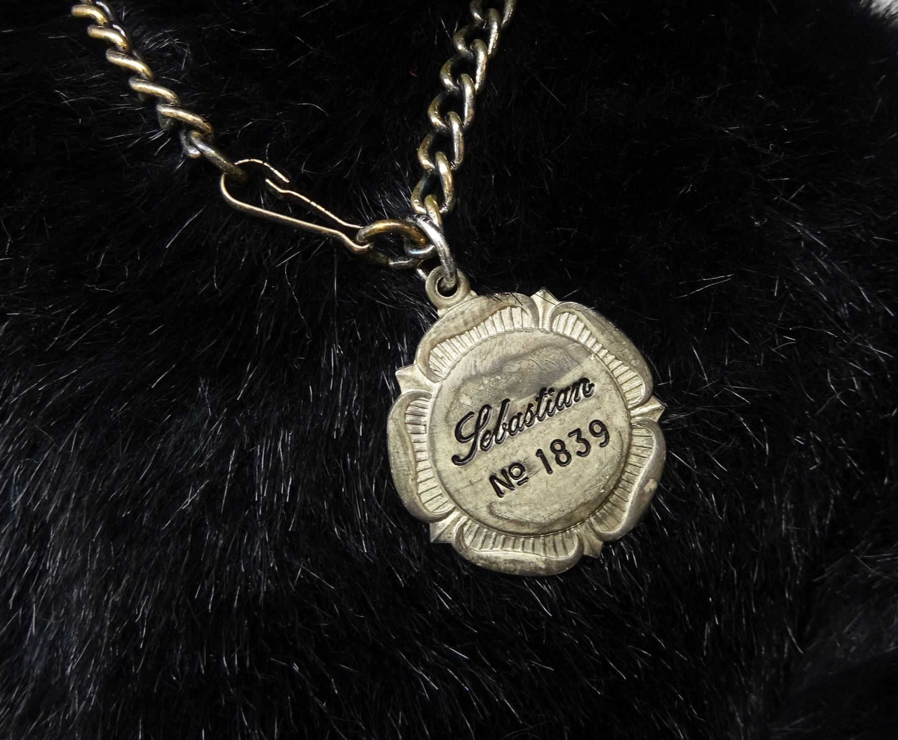 Steiff Replica 1903 Classic teddy bear, the golden mohair body with press squeaker and card tag No.000201 H21