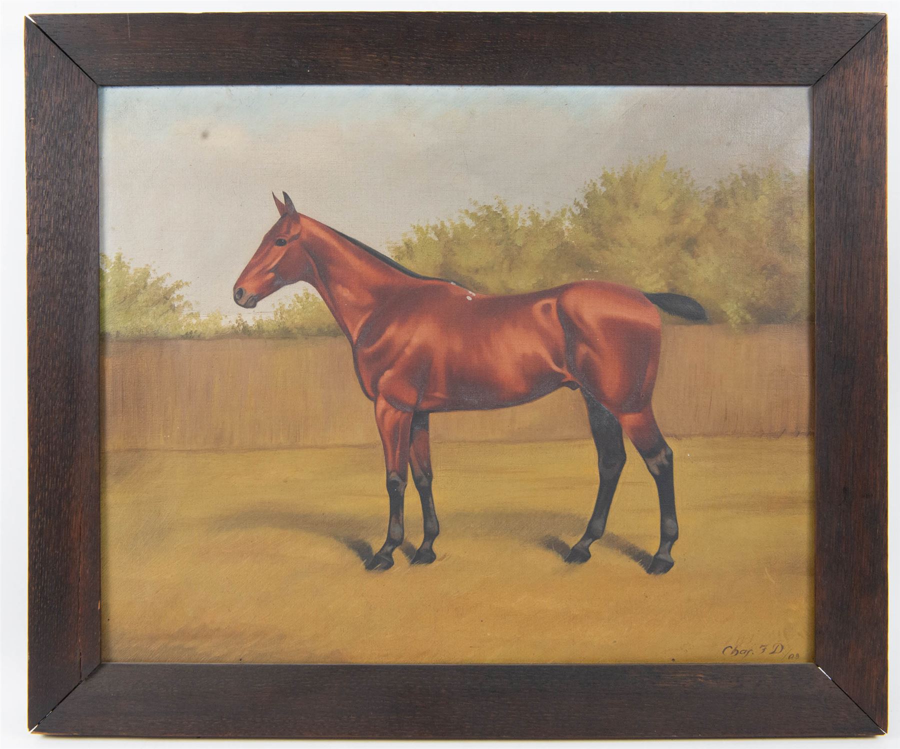 Charles F Davis (British 19th/20th Century): Horse Portraits, pair oils on canvas signed and dated '09 and '05, max 45cm x 55cm (2)