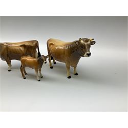 Beswick Jersey family group, comprising bull Dunsley Coy Boy model no 1422, cow Newton Tinkle model no 1345, and calf model no 1249d.