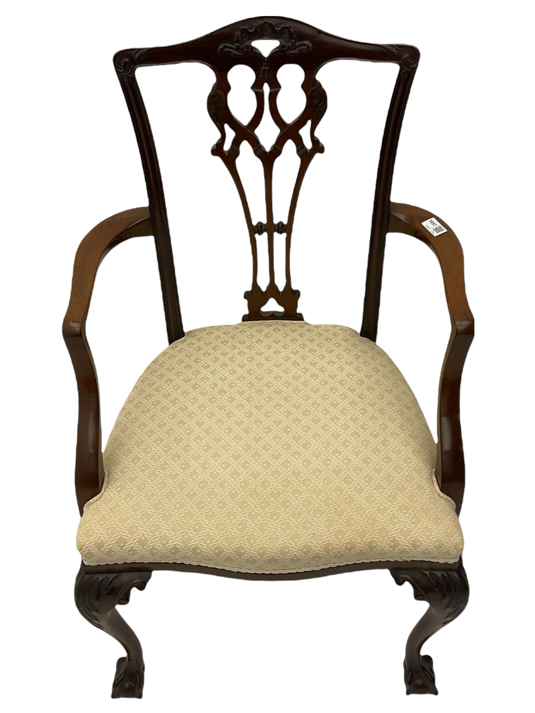 Chippendale design mahogany framed armchair, ball and claw feet, upholstered seat