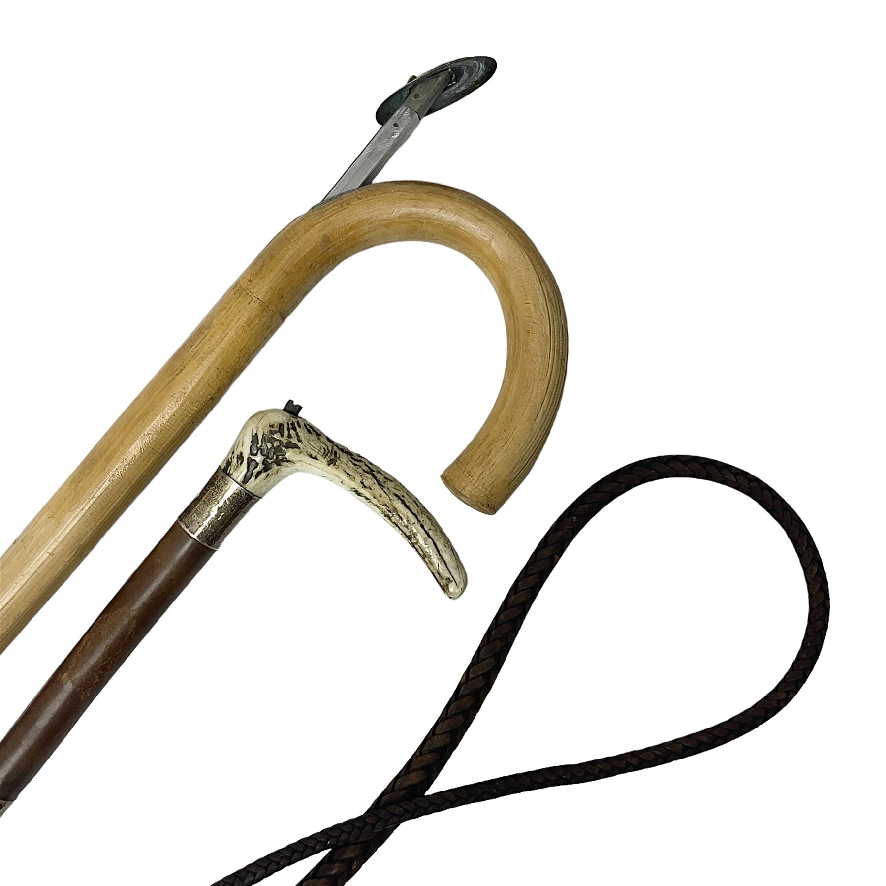 Late Victorian leather hunting whip, with antler handle and presentation engraving to hallmarked silver collars, together with a horse measuring walking stick, whip L205cm