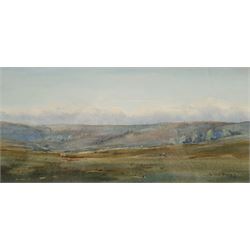 Brian Irving (British 1931-2013): Sheep on the Yorkshire Dales, watercolour signed 15cm x 31cm