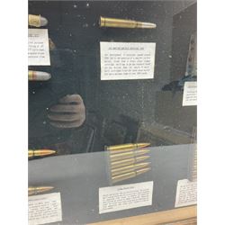 SECTION 1 FIRE-ARMS CERTIFICATE REQUIRED - Two cased specimen displays of annotated ammunition/cartridges - one entitled 'First World War Collection' containing twenty items including 7.63 Mauser, 7.65 Luger, .303, 7.62 x 54R Russian long, 455 Mk.II lead, 455 Auto etc; the other with sixteen items/clips including Musket cartridge, .577 Snider-Enfield, .577/45 Martini Henry, .303 Enfield Magazine, 7.62 Charger Clip, Specialised .303 rounds etc; largest case 41 x 76cm (2)