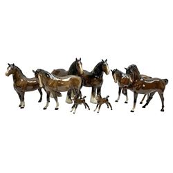 Eight Beswick figures of bay horses, comprising two Shire horses no 818, horse with tucked head and leg up no 1549, two mares no 976 and another further horse modelled stood, together with two standing foals