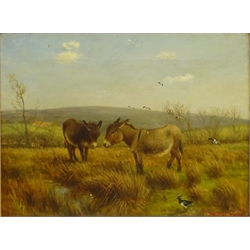  William Henderson of Whitby (British 1844-1904): 'A Rough Pasture'  Donkeys in Gale Fields looking towards Partridge Hill Goathland, oil on canvas signed, titled verso 30cm x 39.5cm  