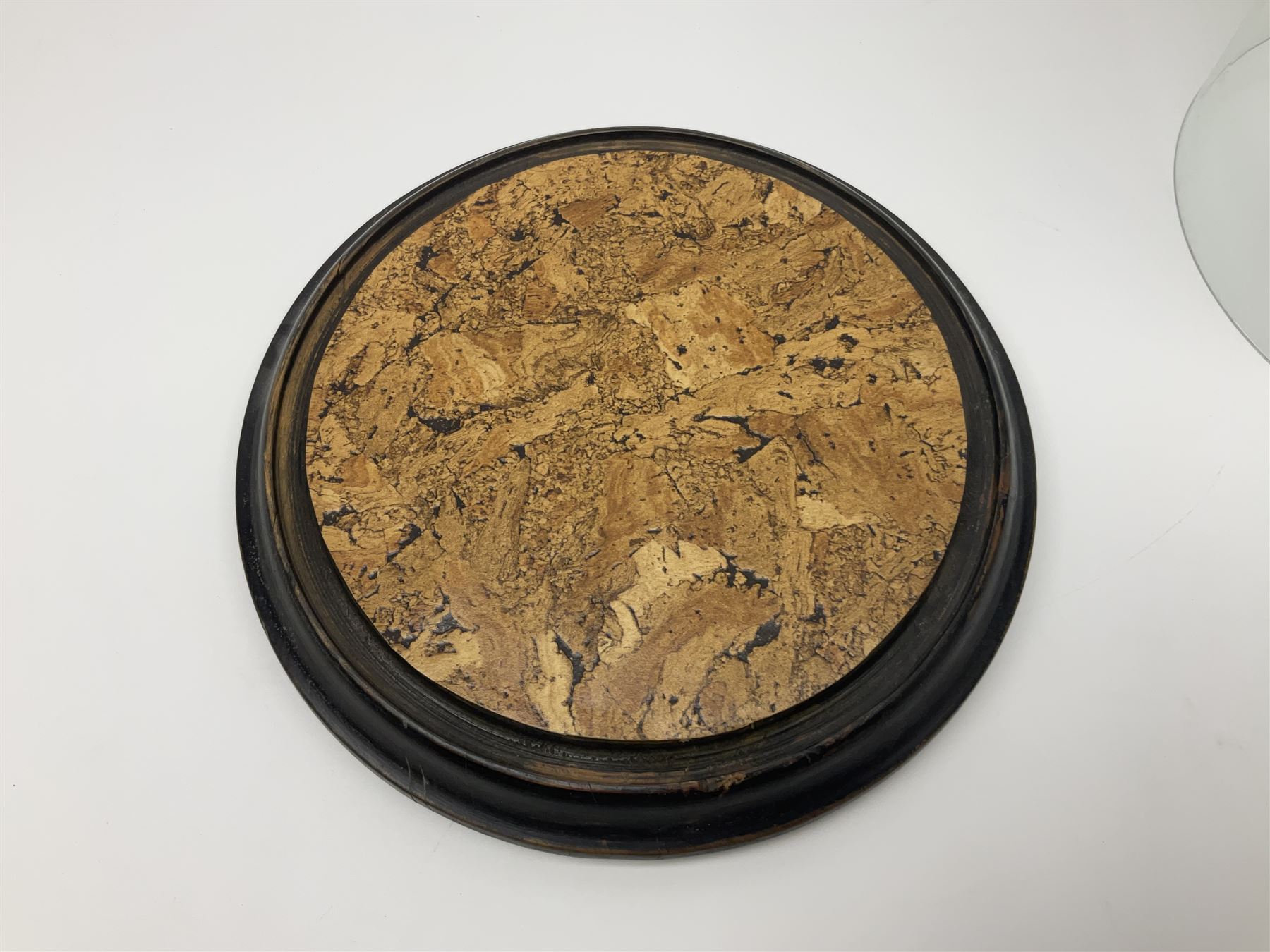 Large glass dome, upon a ebonised circular base, H48cm 