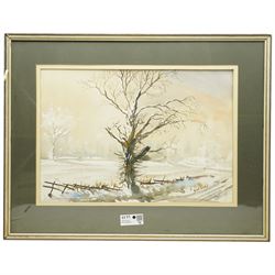 James Fletcher-Watson (British 1913-2004): 'Windrush Mill Gloucestershire' and 'First Sign of Spring', pair watercolours signed, inscribed verso 35cm x 52cm; Alastair S Paterson (British 20th century): Wintry Tree, watercolour signed 37cm x 54cm (3)
