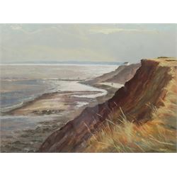 Jill Grinstead (British Northern Contemporary): 'Vanishing Coastline' Holderness, pastel signed, titled verso 48cm x 66cm; Doreen Dawson (20th century): River Landscape, pastel signed 34cm x 45cm (2)