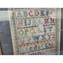 Two 19th century needlework samplers, comprising an example worked with the alphabet within a decorative border, by Mary Kirby, 8th June 1837, together with a similar smaller example, both glazed and framed, largest H55cm W49cm