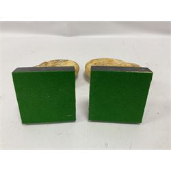 Pair perisphinctes ammonite fossils, each individually mounted upon a rectangular wooden base, age; Middle Jurassic location; Madagascar 