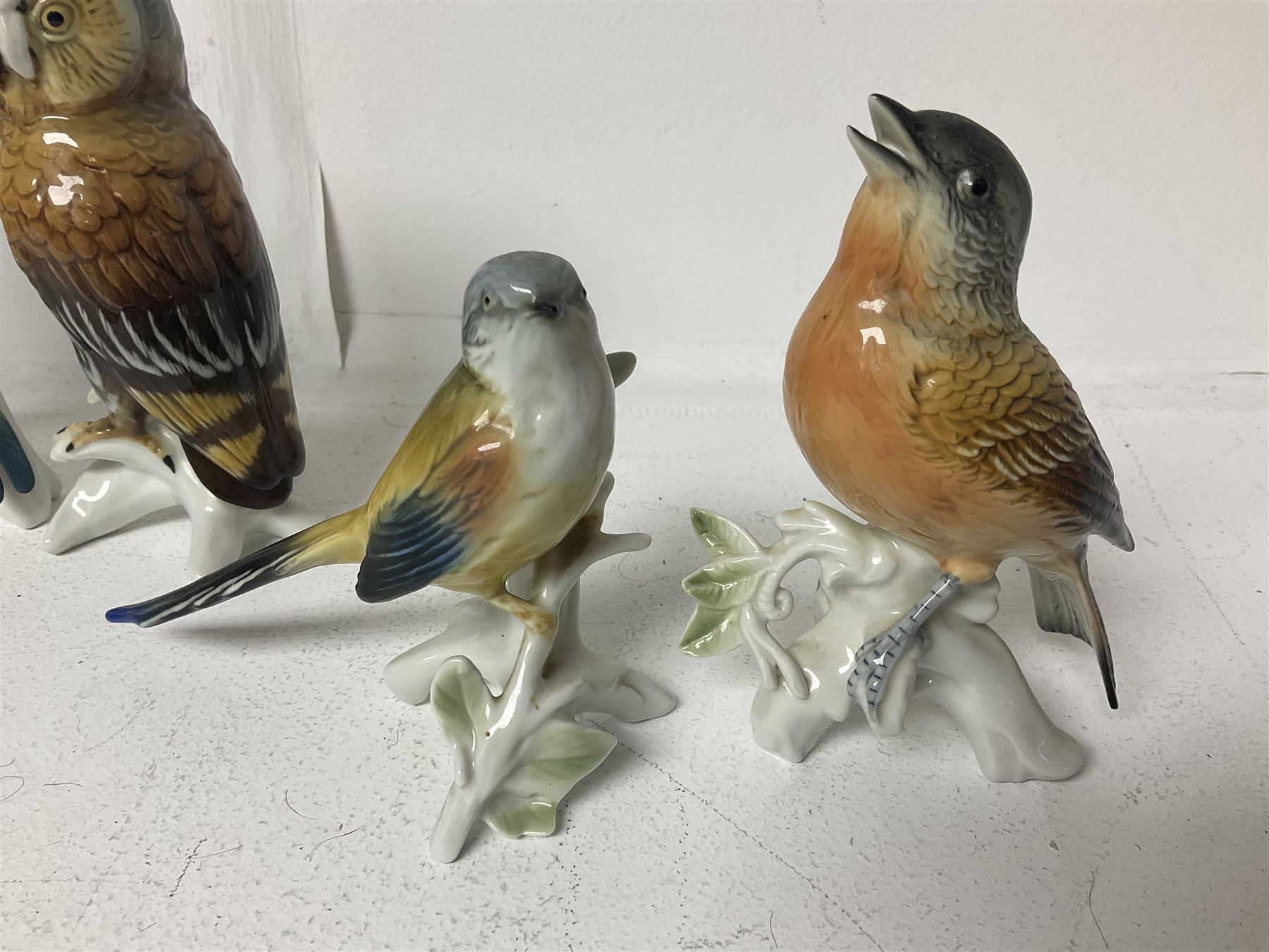 Seven Karl Ens bird figures, including barn owl, eagle owl, blue tit, budgerigar etc, all with mark beneath, tallest H17cm 
