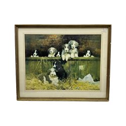 David Shepherd (British 1931-): 'The Lunch Break', limited edition colour print signed and numbered 294/850 in pencil with Fine Art Guild blind stamp 54cm x 73cm and another Shepherd print of Puppies (2)