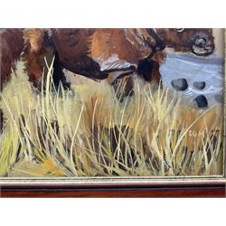 Sheila Gertrude Mackie (Northern British 1928-2010): Sumatran Rhinoceroses in the Plains and Alligator in Volcanic Landscape, pair oils on board signed with initials max 51cm x 38cm (2)
Notes: these pictures are originals from the illustrations used in 'The Great Seasons’ by David Bellamy