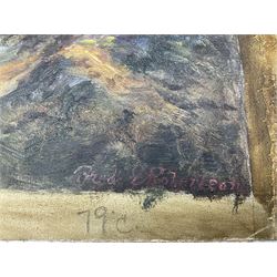 Frederick E Robertson (British 19th/20th century): Scottish Highland Landscape, oil on canvas 40cm x 53cm (unframed)