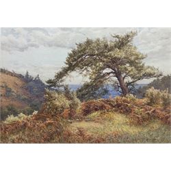 Frank Walton (British 1840-1928): 'On Holmbury Hill St. Mary Dorking', watercolour signed, titled and signed verso 37cm x 54cm
Provenance: exh. Japan Exhibition 1910, Cat. No.432 