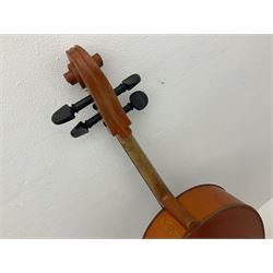 Modern student's three-quarter size cello with 70cm two-piece maple back and ribs and spruce top, L113cm overall