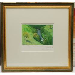 Piers Browne (British 1949-): '