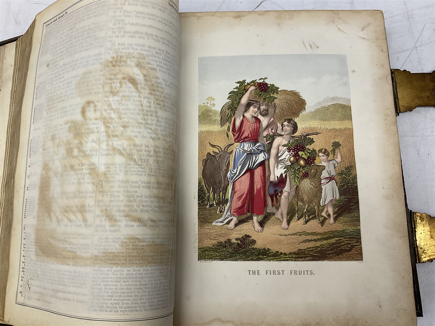 Brown's Self Interpreting Family Bible, The Holy Bible Old & New Testaments by Reverend John Brown, with coloured plates