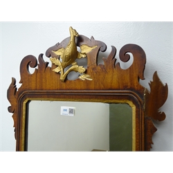  Chippendale style mahogany framed mirror, carved gilt 'HoHo' bird, W44cm, H80cm  