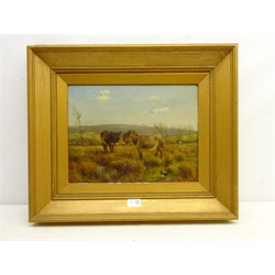  William Henderson of Whitby (British 1844-1904): 'A Rough Pasture'  Donkeys in Gale Fields looking towards Partridge Hill Goathland, oil on canvas signed, titled verso 30cm x 39.5cm  