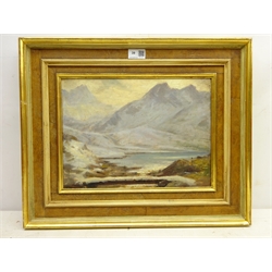  English School (Early 20th century): Snow Covered Mountains, oil on panel unsigned 25cm x 35cm  