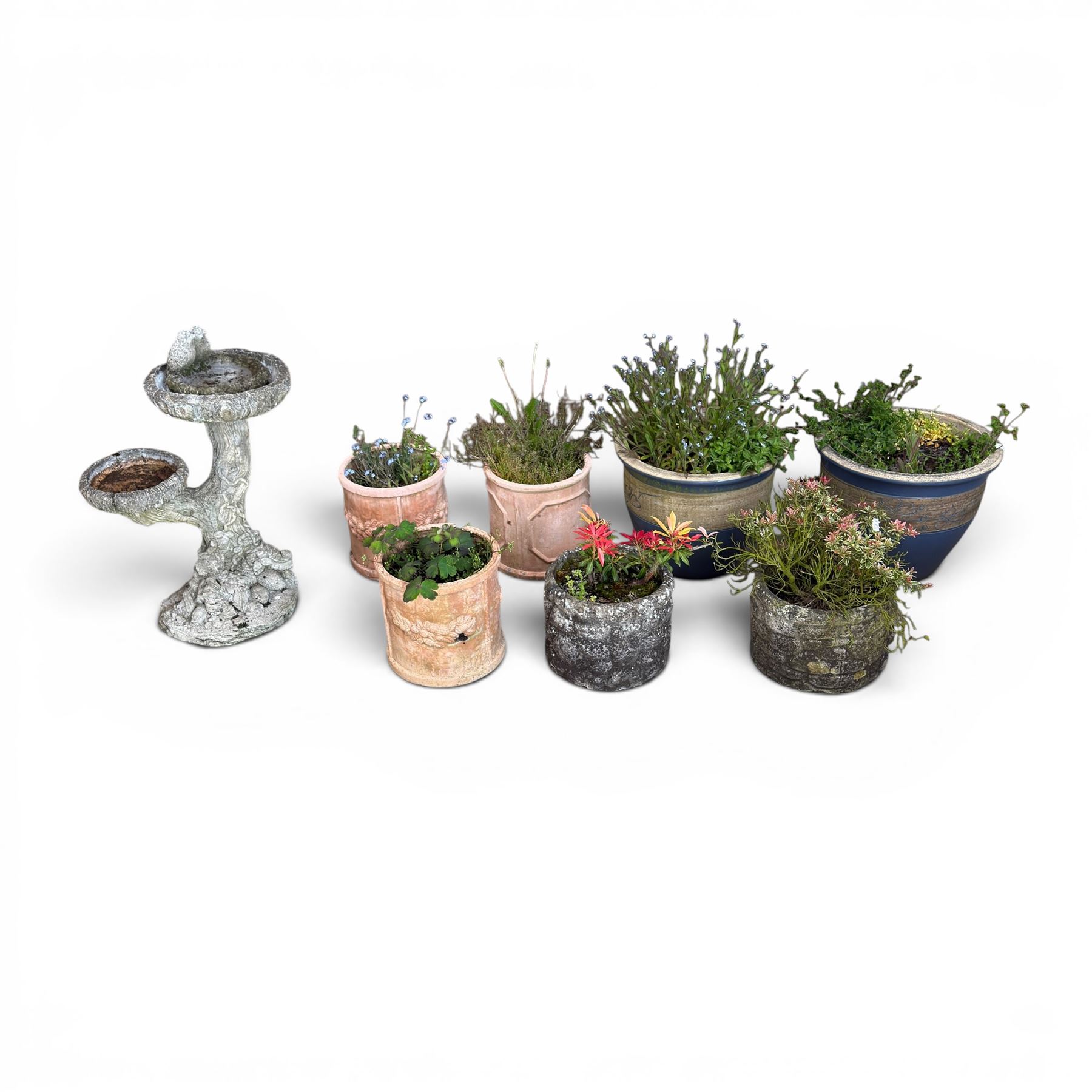 Pair of terracotta circular planters, bark design cast stone two branch bird bath, two small circular stone planters, and three composite circular planters (8)