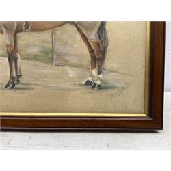 C Joane Bastard (20th century): Horse Portrait, pastel signed and dated 1931, 30cm x 42cm