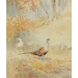 Roland Green (British 1890-1972): Sketch of a Pheasant, watercolour signed 33cm x 30cm 