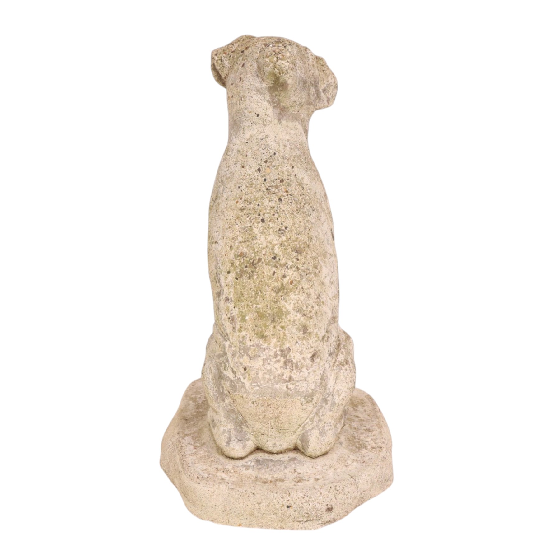 Cast stone seated lion together with a cast stone bulldog, lion H46cm