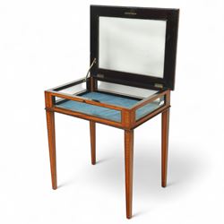 Edwardian satinwood bijouterie table, rectangular glazed top and glazed sides enclosing a blue velvet-lined display well, raised on square tapering legs, decorated throughout with neoclassical foliate inlay