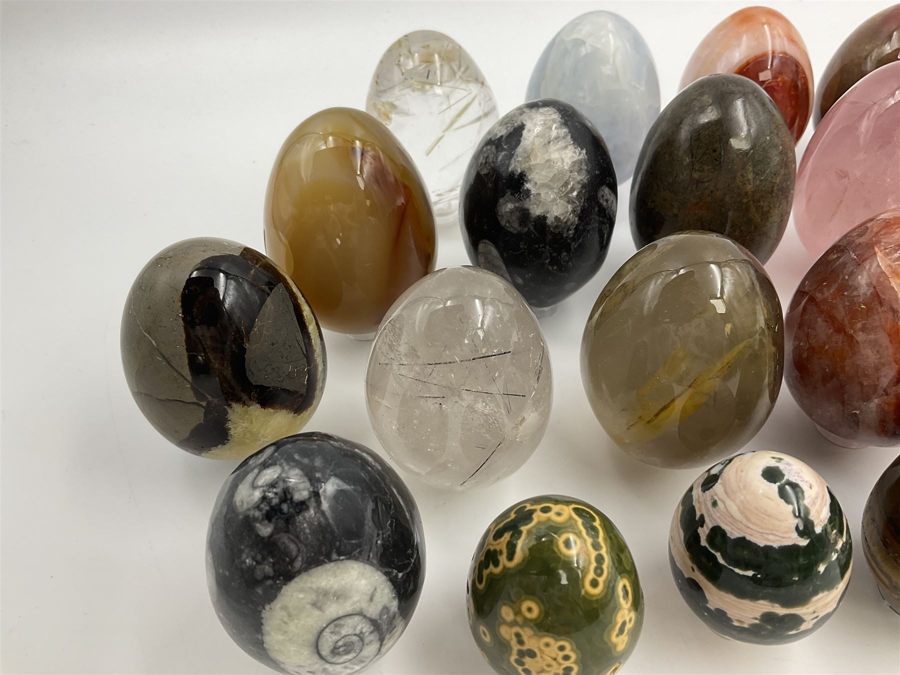 Collection of twenty-one hardstone specimen eggs, including labradorite, calcite, orbicular jasper, tiger's eye, smokey quartz, fossilised wood etc, originally part of the collection of the late Stanley J Seeger