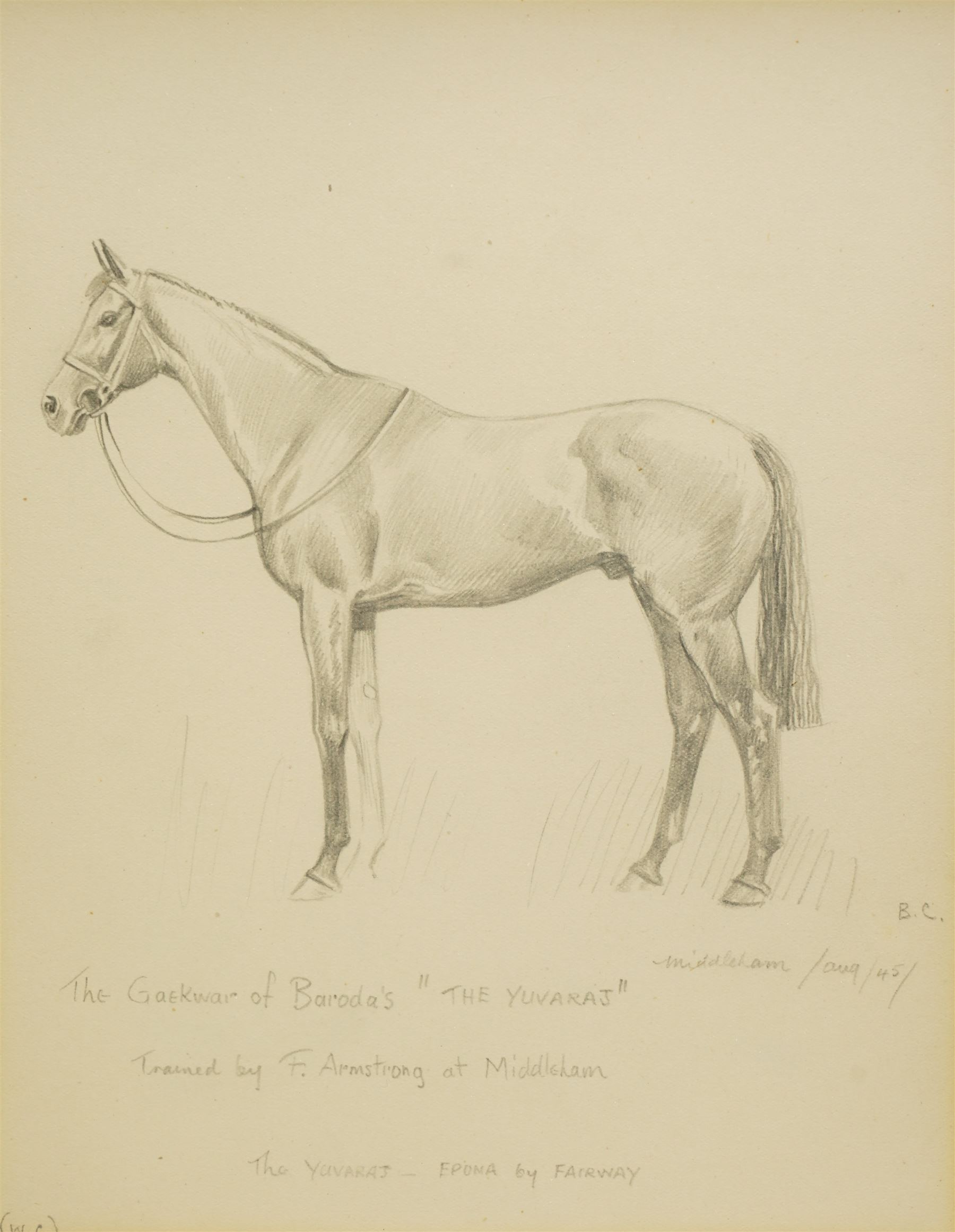 Joseph Appleyard (Yorkshire 1908-1960): Horses 'Midas' 'The Yuvaraj' and 'Senor Brume', set of three preliminary pencil sketches unsigned, variously inscribed 22cm x 17cm (3)