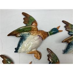 Set of five Beswick graduated wall mounting figures of flying ducks, models from 596/0 to 596/4, largest L29cm