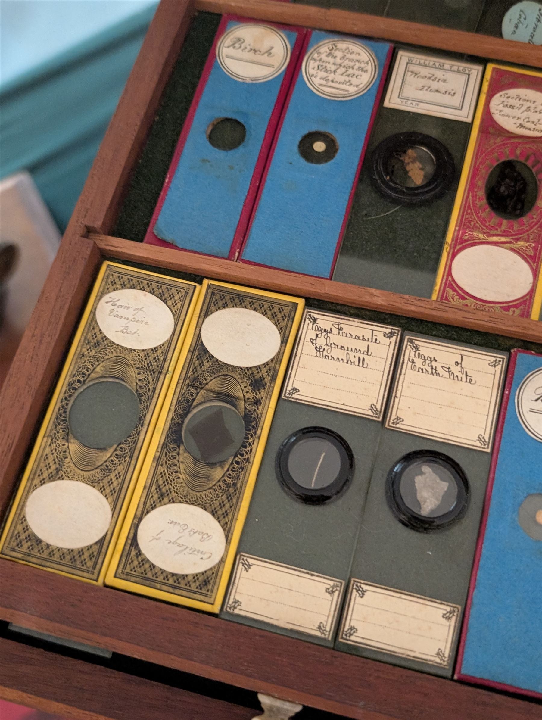 Victorian collector's specimen cabinet, containing a number of prepared microscope slides including miniature photographs, animal and human pathological, physiological and histological specimens and botanical specimens, mostly annotated in ink, the cabinet with glazed door, the drawers with bone handles and lined with green felt, owned by Dr Arthur Bristow, together with a picture of the doctor, cabinet H43cm