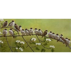 Robert E Fuller (British 1972-): 'Tree Sparrows', limited edition colour print signed and numbered 41/850 in pencil 15cm x 31cm